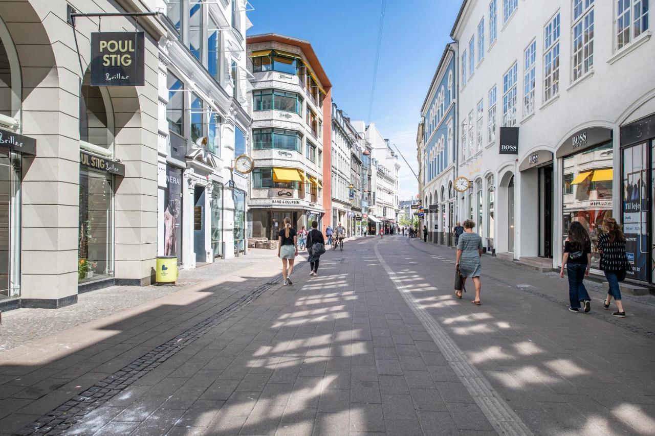 Huge Newly Redecorated Luxury Home * Copenhaga